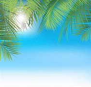 Image result for Summer Design with No Background