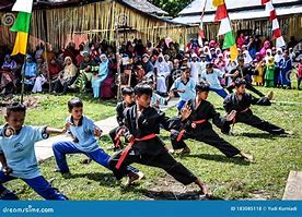 Image result for Pencak Silat Art