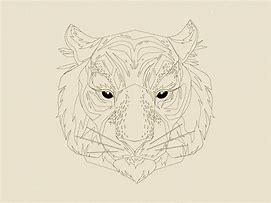 Image result for Tiger Sketch Outline