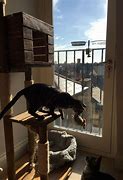 Image result for Pallet Cat Tree