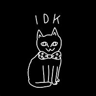 Image result for Idk Cat