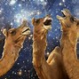 Image result for Llama Shape