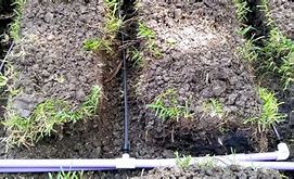 Image result for Drip Irrigation Septic System