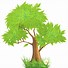 Image result for Tree Pictures Clip Art