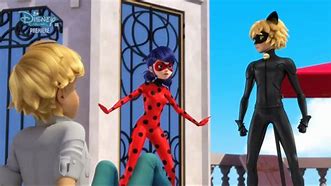 Image result for Ladybug PV Felix