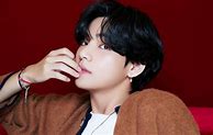 Image result for BTS V Model