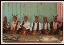 Image result for Perikanan Manggarai Barat