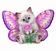 Image result for Cat and Butterfly Painting