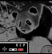 Image result for Panda Remote