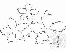 Image result for Poinsettia Leaf Template