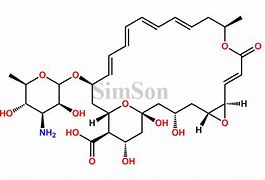 Image result for Natamycin