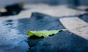 Image result for Raining Sidewalk