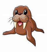 Image result for Baby Nordic Walrus