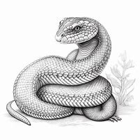 Image result for Cobra Snake Pattern