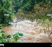 Image result for Flood Rain around Circle S