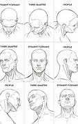 Image result for Human Head Anatomy