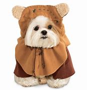 Image result for Cute Dog Halloween Costume Ideas