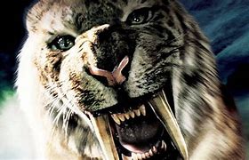 Image result for Sabertooth Tiger Clone