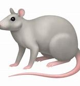 Image result for Rat Emoji