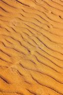 Image result for Sand Texture Close Up