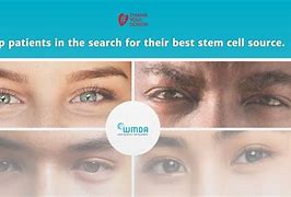 Image result for Saving Stem Cells