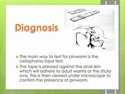 Image result for Pinworm Paddle