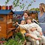 Image result for Honey Bee Hive Flow