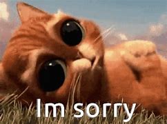 Image result for Truly Sorry GIF