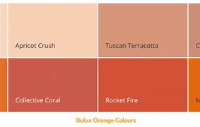 Image result for Dulux Orange Painting