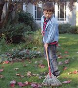 Image result for Bamboo Leaf Rake