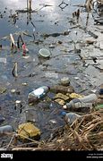 Image result for Floating Plastic Debris