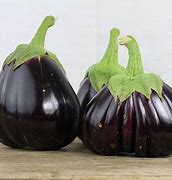 Image result for Black Eggplant