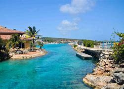 Image result for Curacao Aquarium