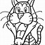 Image result for Outline Tiger Drawings Sketches