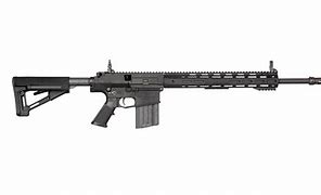 Image result for SR-25 vs M110