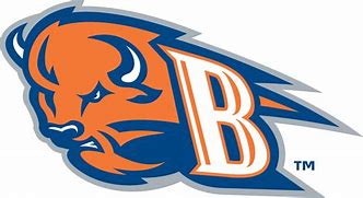 Image result for Bucknell Bison Sculpture