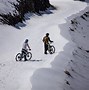 Image result for Ski New Zealand