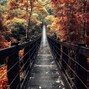 Image result for Long Path