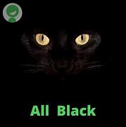 Image result for All Is Black Song