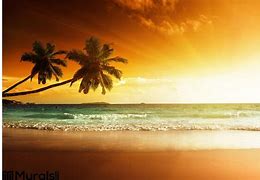 Image result for Sunset Wall Murals