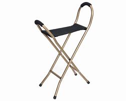 Image result for One-Legged Seat Cane