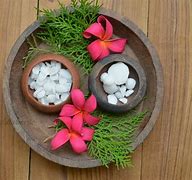 Image result for Camphor Plant Uses