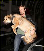 Image result for Ryan Gosling Dog George