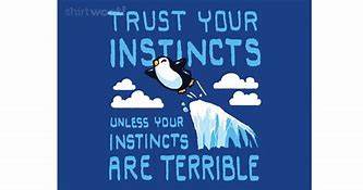 Image result for Risk Trust Your Instincts