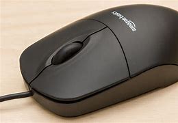 Image result for Copher Mouse