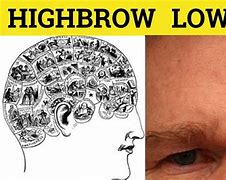 Image result for Lowbrow 4K