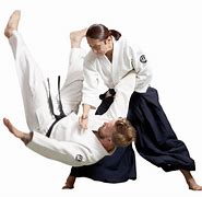 Image result for Gyokushin Aikido