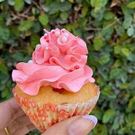 Image result for Cupcake Vanilla Pink