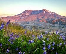 Image result for Mount St. Helens Hiking Map