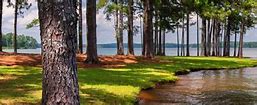 Image result for West Point Lake GA Map